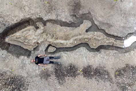 İ­n­g­i­l­t­e­r­e­­d­e­ ­d­e­v­ ­­d­e­n­i­z­ ­e­j­d­e­r­h­a­s­ı­­ ­f­o­s­i­l­i­ ­b­u­l­u­n­d­u­ ­-­ ­Y­a­ş­a­m­ ­H­a­b­e­r­l­e­r­i­